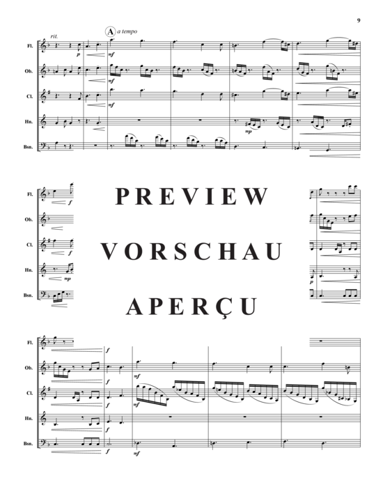 Produktgalerie: Seite 10 von 21 Akvareller – 10 Sätze , , (Holzbläser-Quintett)