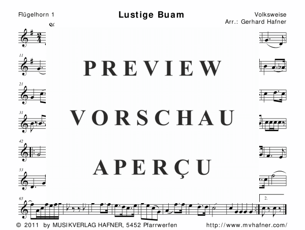gallery: Lustige Buam, , (woodwind and brass)