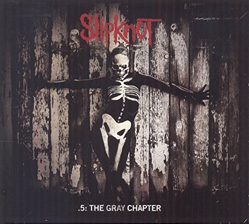 cover: Lech, Slipknot, Gitarre