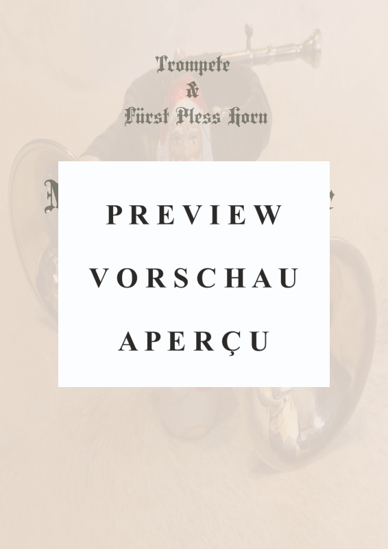 gallery: Morgen kommt der Weihnachtsmann, , Duett für Trompete in B und Pless Horn/Trompete in B