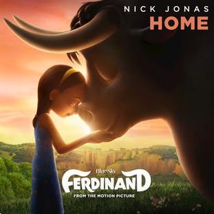 cover: Home, Nick Jonas, Gesang, Gitarre, Klavier