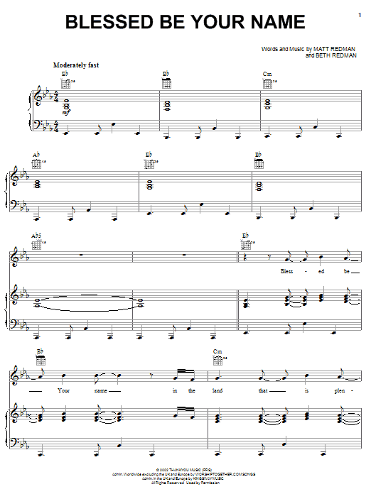Produktgalerie: Seite 1 von 1 Blessed Be Your Name, Newsboys, Gesang, Gitarre, Klavier