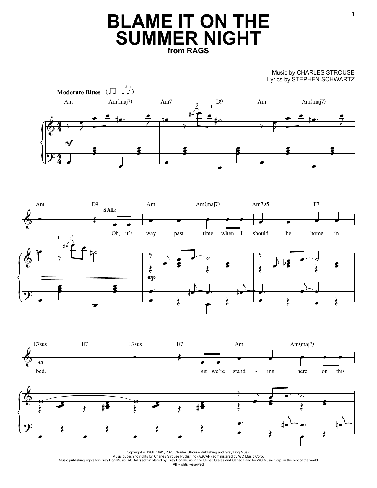 Produktbild zu: Blame It On The Summer Night (from Rags: The Musical)