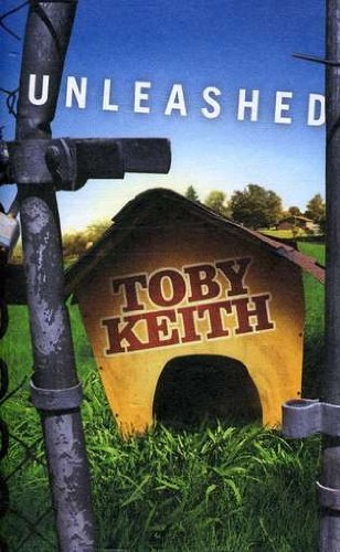cover: It Works For Me, Toby Keith, Gesang, Gitarre, Klavier