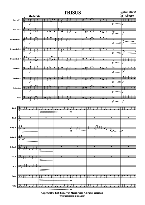 Product picture to: Trisus Michael Stewart