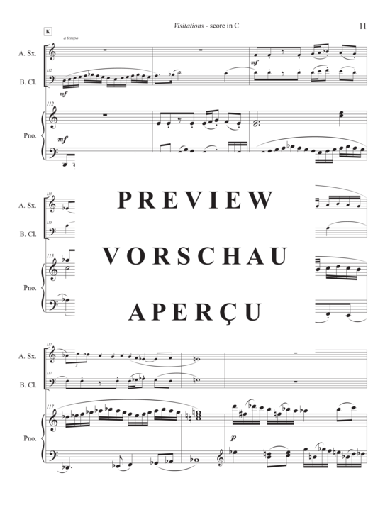 Product gallery: Page 15 of 21 Visitations from the Dark , , (alto saxophone, bass clarinet and piano)
