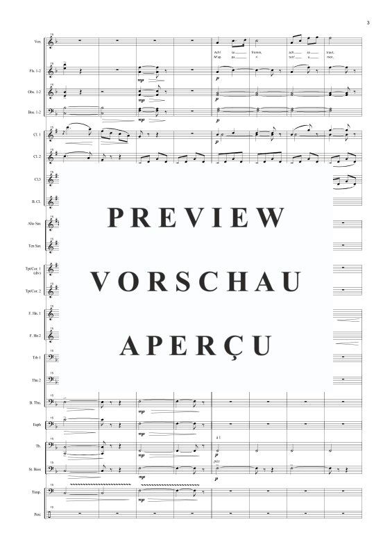 Produktgalerie: Seite 6 von 11 M'appari tutt'amor, , Solo Gesang und Concert Band