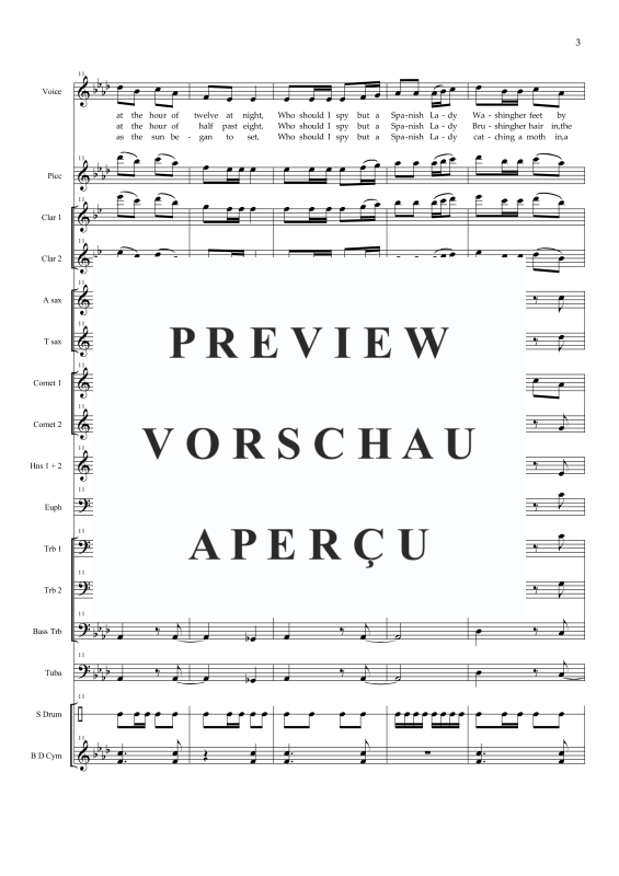 Produktgalerie: Seite 6 von 11 The Spanish Lady, , Solo Gesang und Concert Band