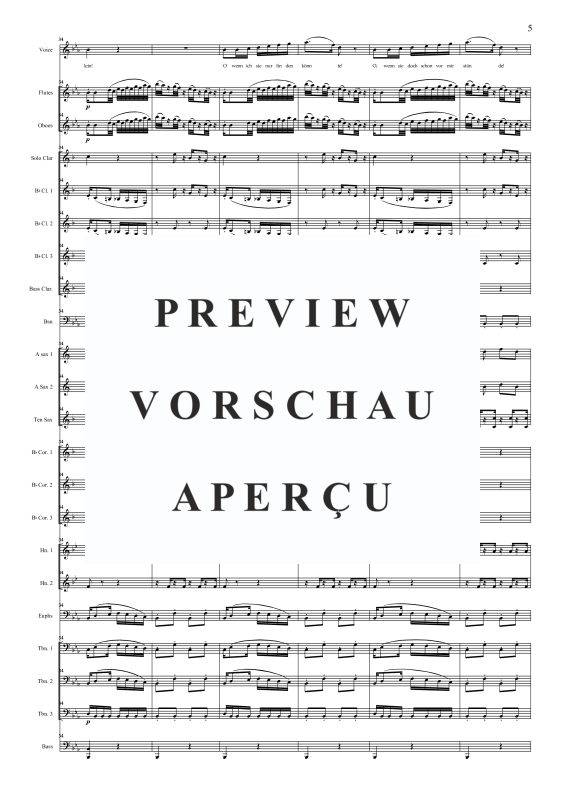 Produktgalerie: Seite 8 von 11 Dies Bildnis ist bezaubernd schön, , Tenor Solo und Concert Band