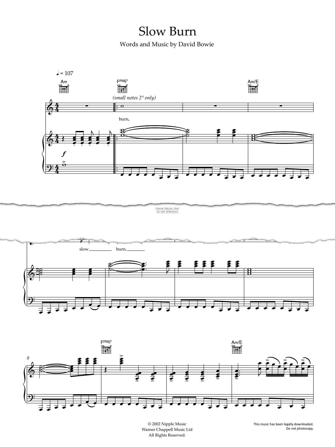 gallery: Slow Burn, David Bowie