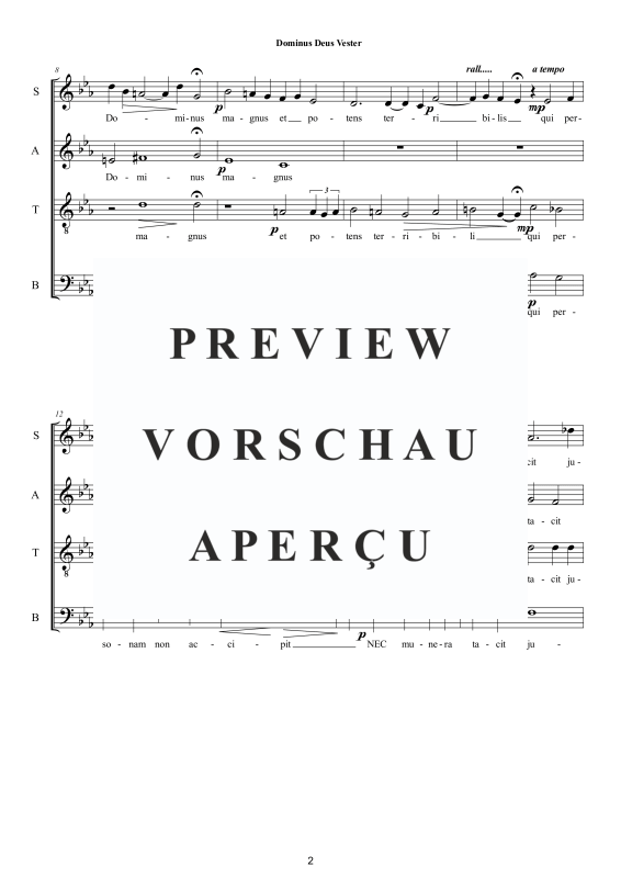 Produktgalerie: Seite 3 von 11 Dominus Deus Vester - Sacred Motet, , Gemischter Chor