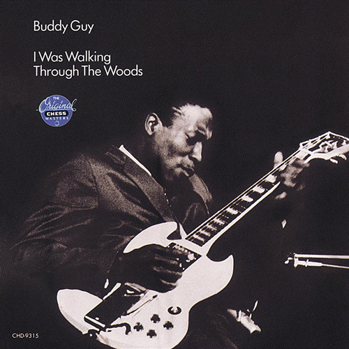 cover: Stone Crazy, Buddy Guy, Gitarre