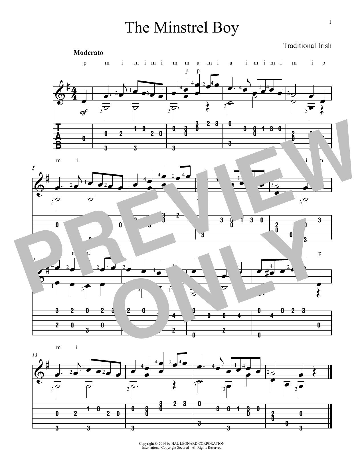 Produktgalerie: Seite 1 von 1 Minstrel Boy, John Hill, Gitarre
