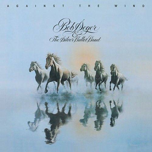 cover: Against The Wind, Bob Seger, Gitarre
