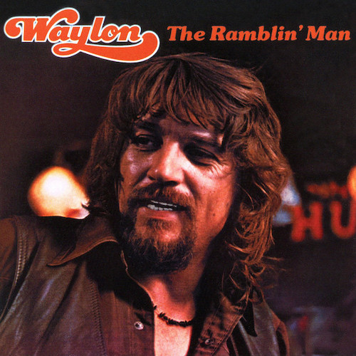 cover: Amanda, Waylon Jennings, Gitarre