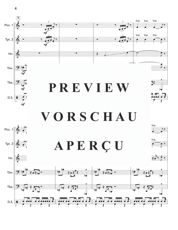 Produktgalerie: Seite 8 von 11 Peacockery, , (Blechbläser Quintett und Drum Set)