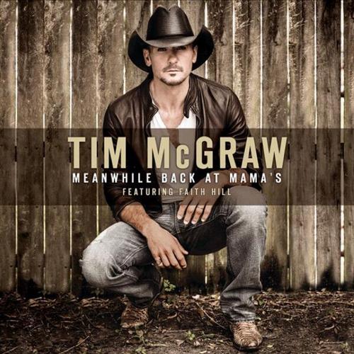 cover: Meanwhile Back At Mama's, Tim McGraw feat. Faith Hill, Gesang, Gitarre, Klavier