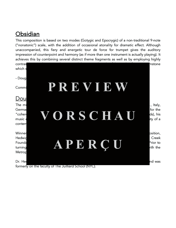 Produktgalerie: Seite 11 von 11 Obsidian, , (Trompete in C/B)