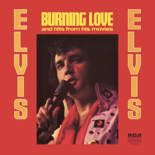 cover: Burning Love, Elvis Presley, Gesang, Gitarre, Klavier