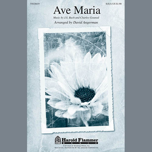 Produktbild zu: Ave Maria (arr. David Angerman)