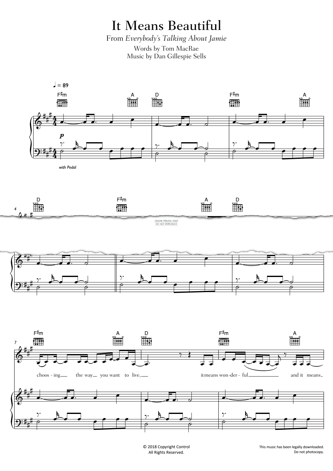 Produktgalerie: Seite 1 von 1 It Means Beautiful, , Gesang, Gitarre, Klavier