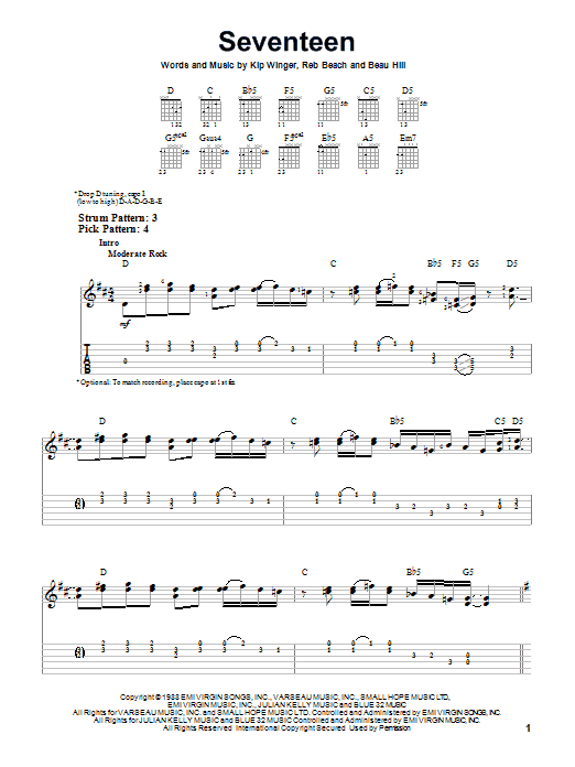 Produktgalerie: Seite 1 von 1 Seventeen, Winger, Gitarre