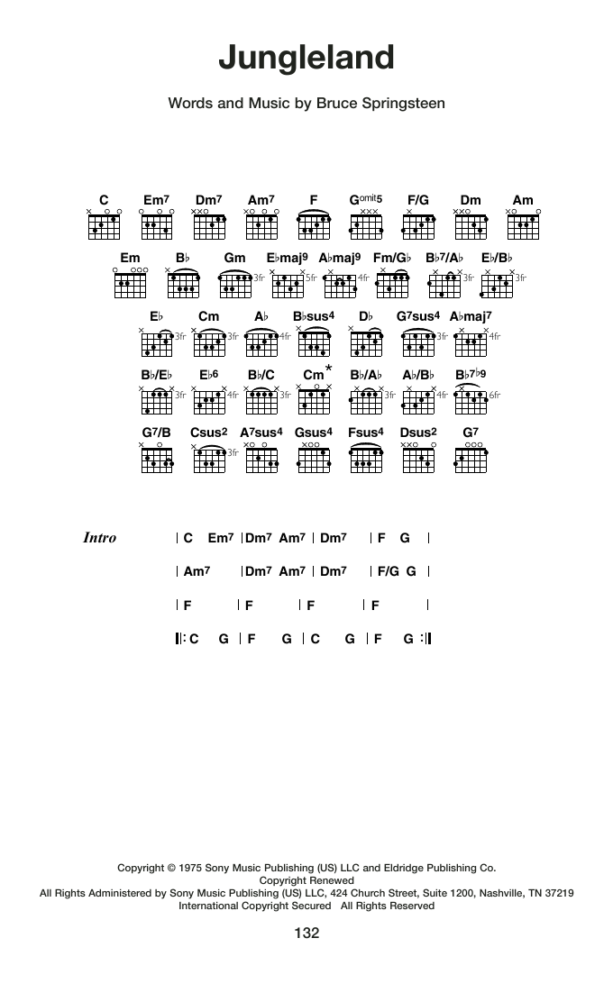 Produktgalerie: Seite 1 von 1 Jungleland, Bruce Springsteen, Gitarre