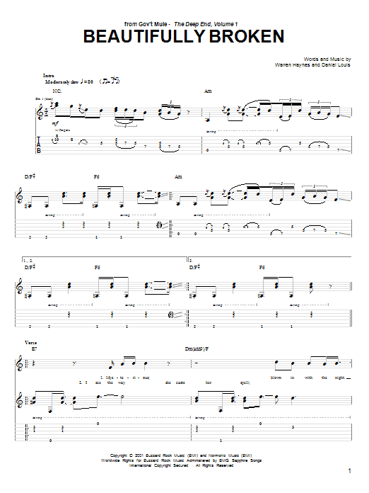 Product gallery: Page 1 of 1 Beautifully Broken, Warren Haynes