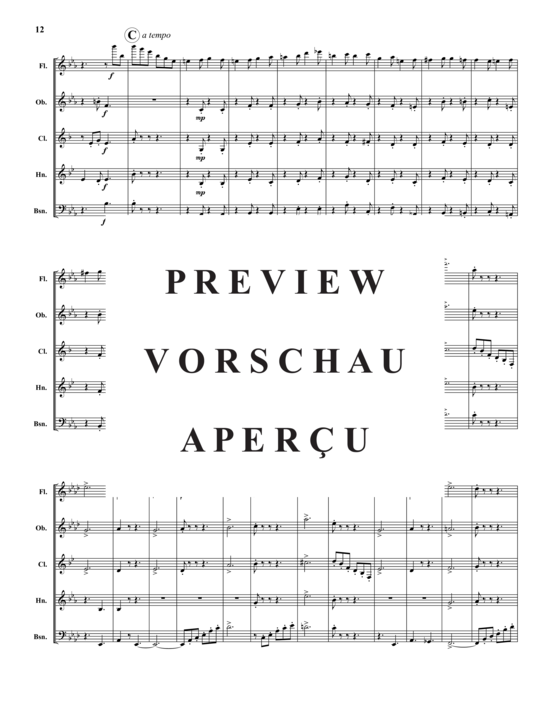 Produktgalerie: Seite 13 von 21 Akvareller – 10 Sätze , , (Holzbläser-Quintett)