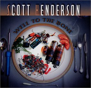 cover: Ashes, Scott Henderson, Gitarre