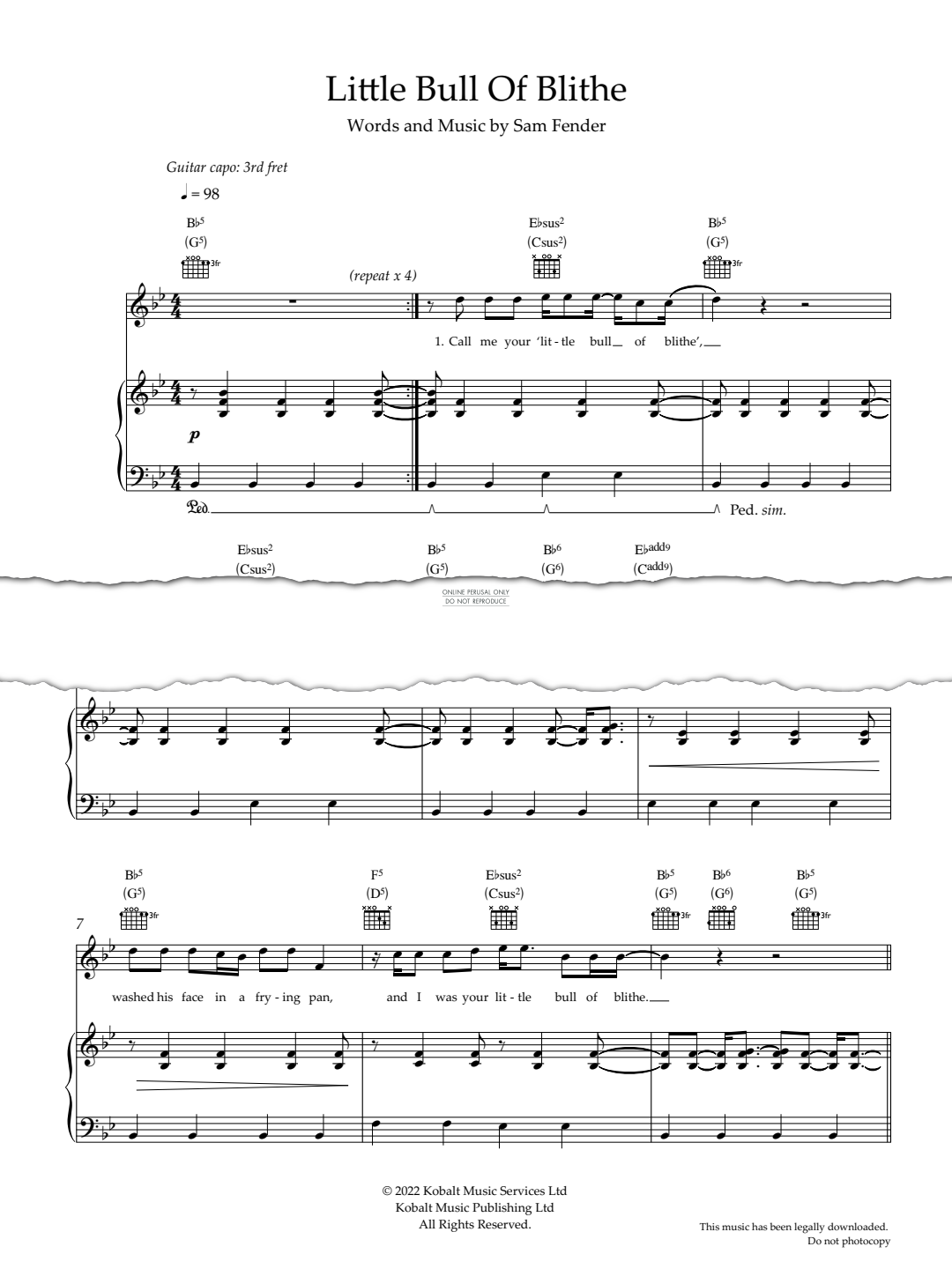 Produktgalerie: Seite 1 von 1 Little Bull Of Blithe, Sam Fender, Gesang, Gitarre, Klavier