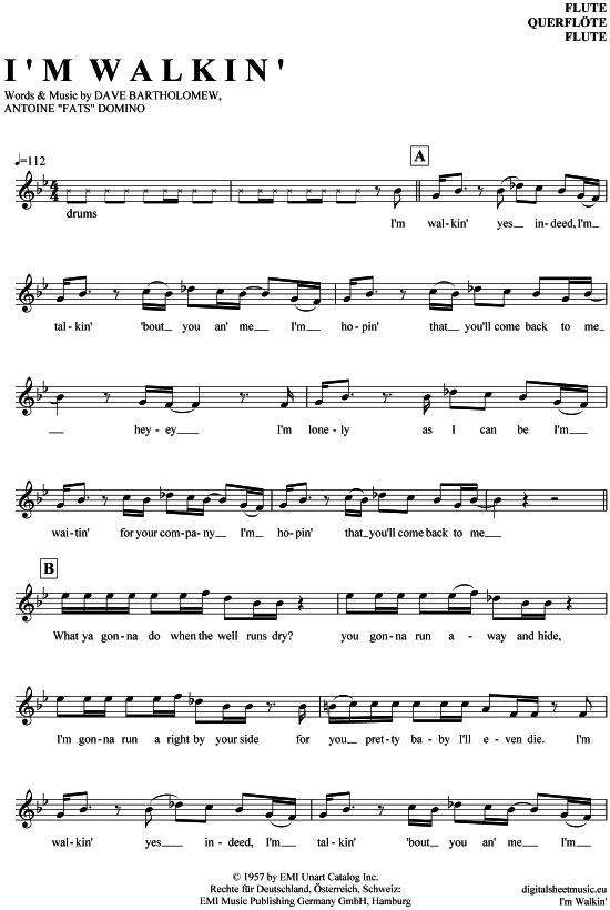 Product gallery: Page 1 of 4 I´m walkin , Domino, Fats, (transverse flute)