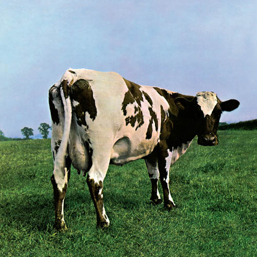 cover: Fat Old Sun, Pink Floyd