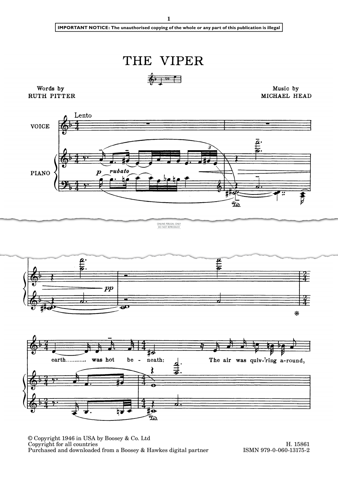 gallery: The Viper, Michael Head, Gesang, Klavier