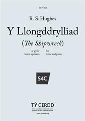 Produktbild zu: Y Llongddrylliad