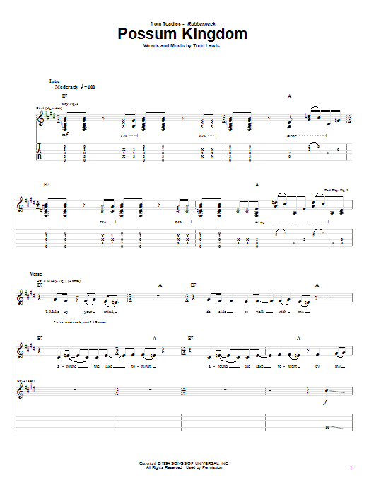 Produktgalerie: Seite 1 von 1 Possum Kingdom, Toadies, Gitarre