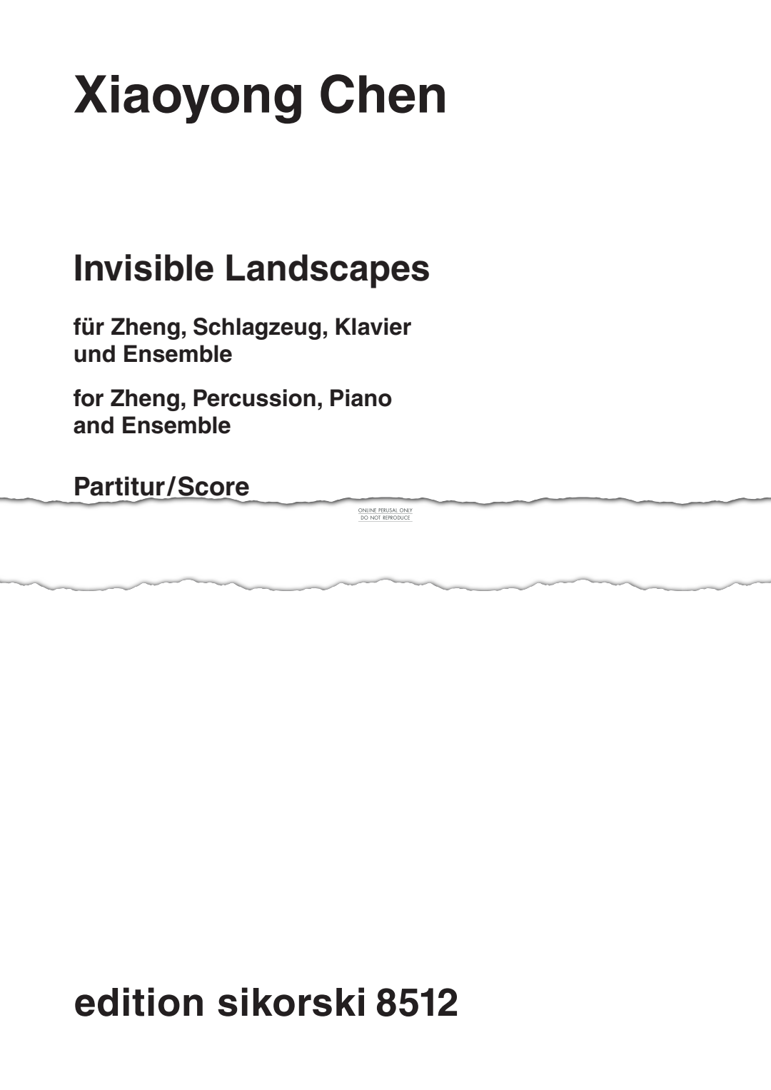 Product picture to: Invisible Landscapes