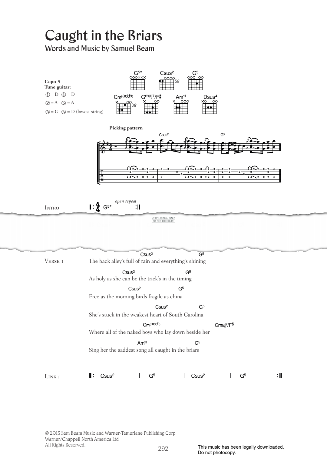 Product gallery: Page 1 of 1 Caught In The Briars, Iron & Wine