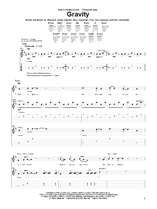 Produktgalerie: Seite 1 von 1 Gravity, A Perfect Circle, Gitarre