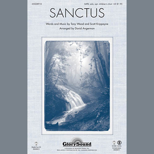 cover: Sanctus, David Angerman