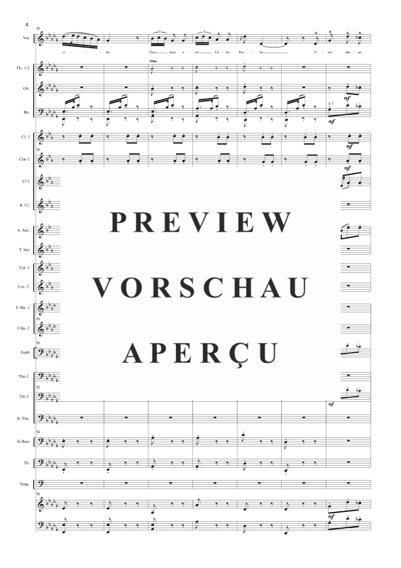 Produktgalerie: Seite 6 von 11 Pres des remparts de Seville (Seguidilla from Carmen), , Solo Gesang und Concert Band