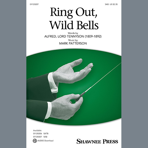 cover: Ring Out, Wild Bells, Mark Patterson