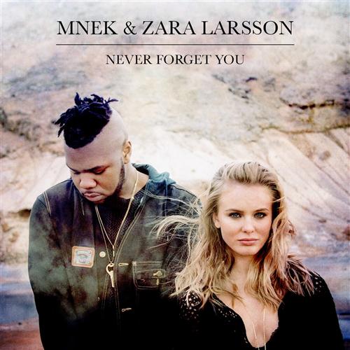 Produktbild zu: Never Forget You