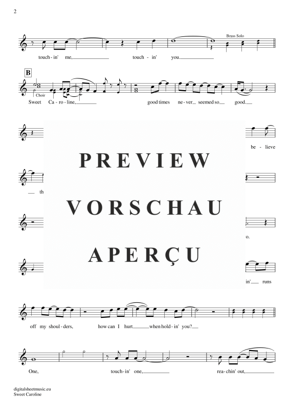 Product gallery: Page 3 of 4 Sweet Caroline , Diamond, Neil, (transverse flute)