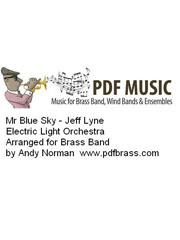 cover: Mr Blue Sky, ELO