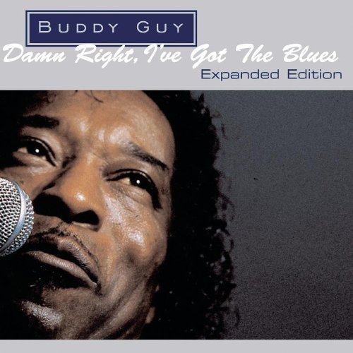 cover: Damn Right, I've Got The Blues, Buddy Guy, Gitarre