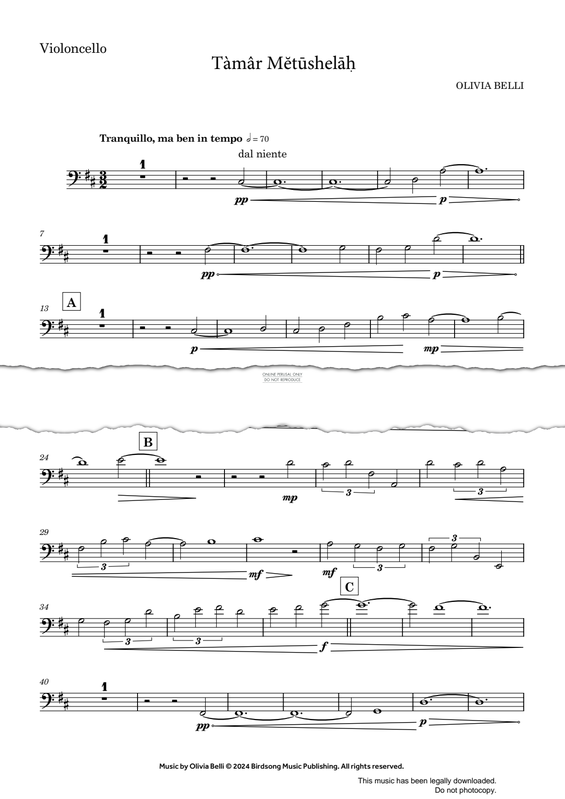 Produktgalerie: Seite 1 von 1 Tàmâr Metushelah, Olivia Belli, Klavier, Violoncello