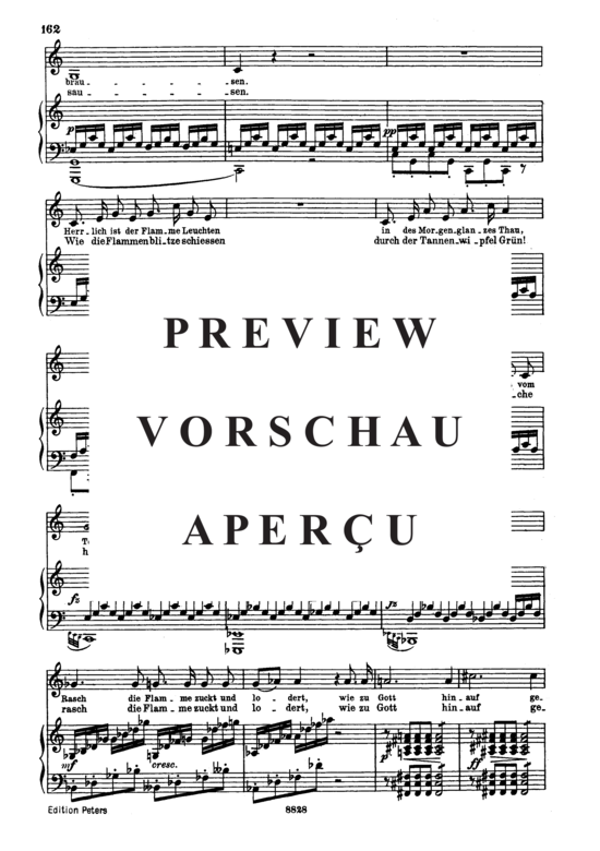 gallery: Waldes - Nacht D.708 , , (Gesang tief + Klavier)