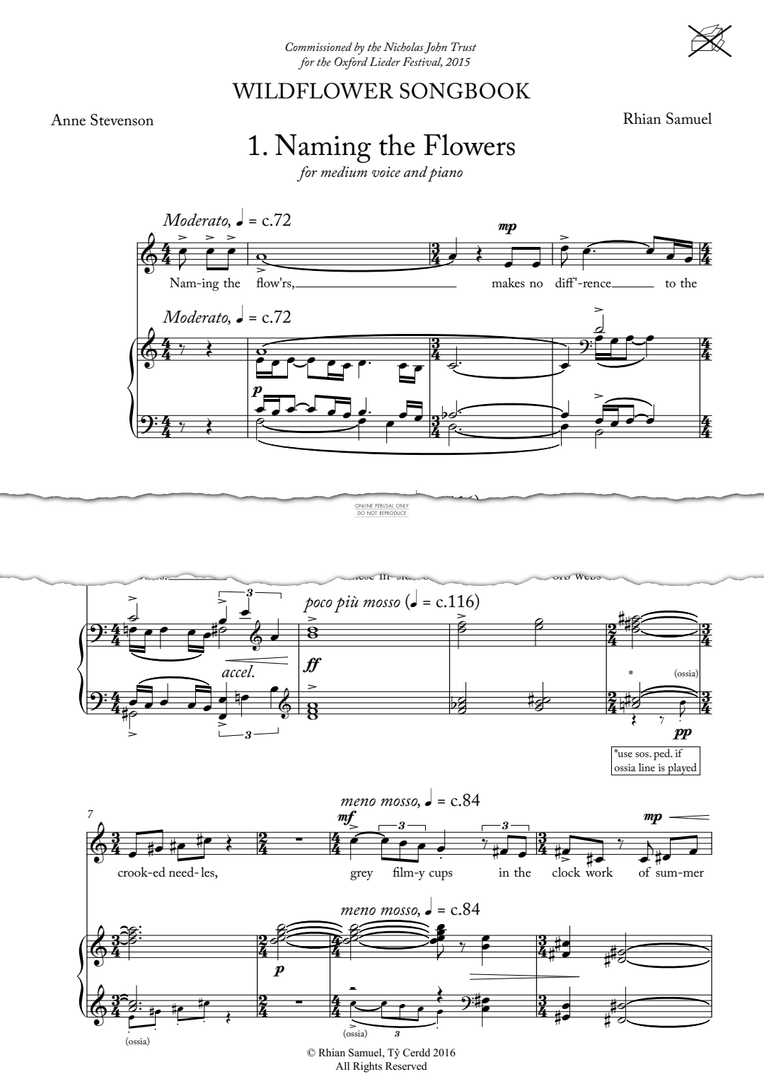 Produktgalerie: Seite 1 von 1 Wildflower Songbook, Rhian Samuel, Gesang, Klavier