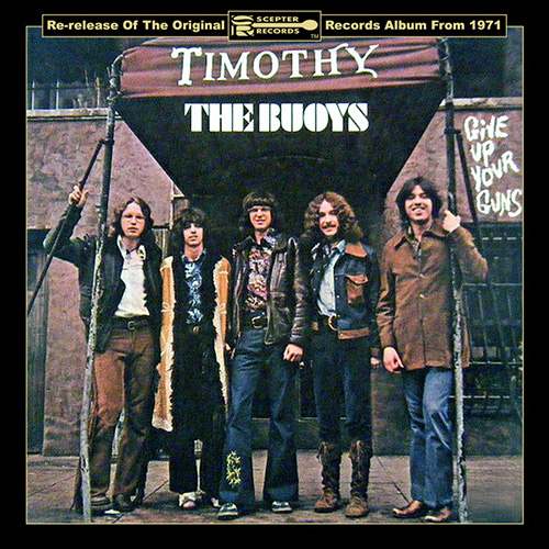 cover: Timothy, The Buoys